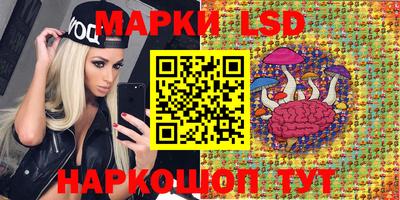 сатива Краснодар