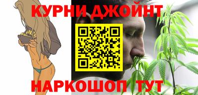 сатива Краснодар