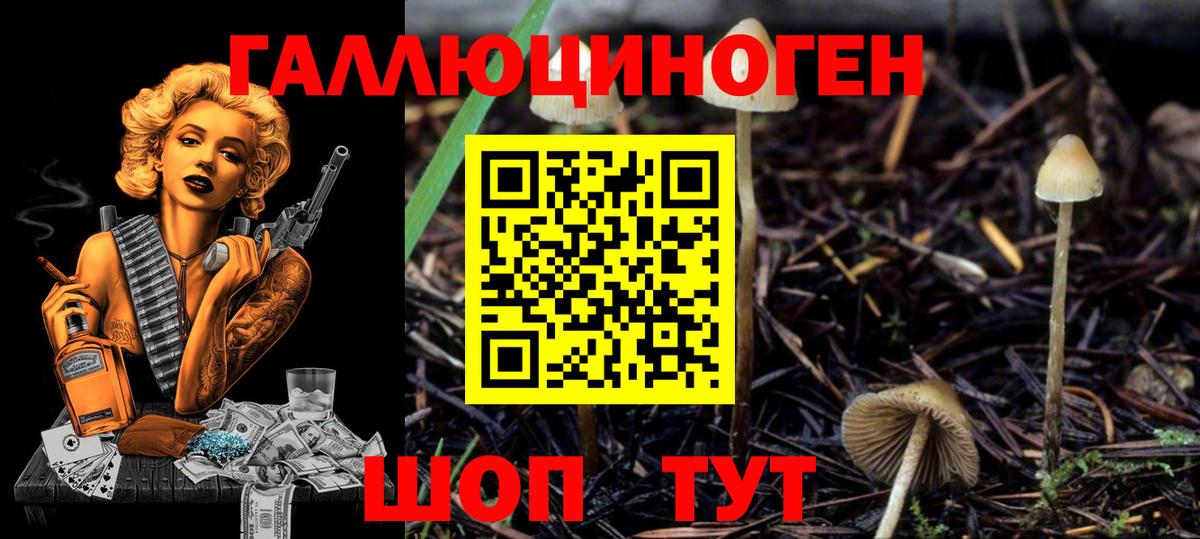 Арсеньев  Галлюциногенные грибы MAGIC MUSHROOMS  Вход с VPN  Галлюциногенные грибы мицелий 